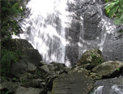 San Juan - El Yunque Rain Forest