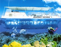 Nassau Bahamas - See & Sea Tour