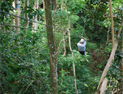 San Juan - Canopy Adventure