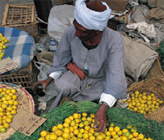 Village Market